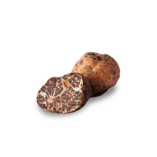 Trufa blanca de primavera o Bianchetto fresca 25gr.