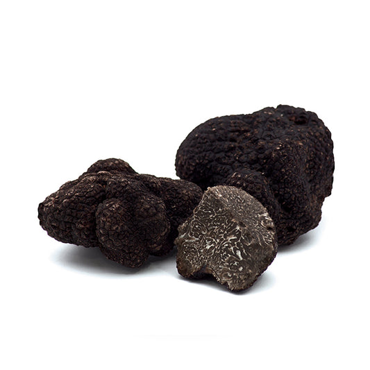 Trufa negra fresca (Invierno y Verano)