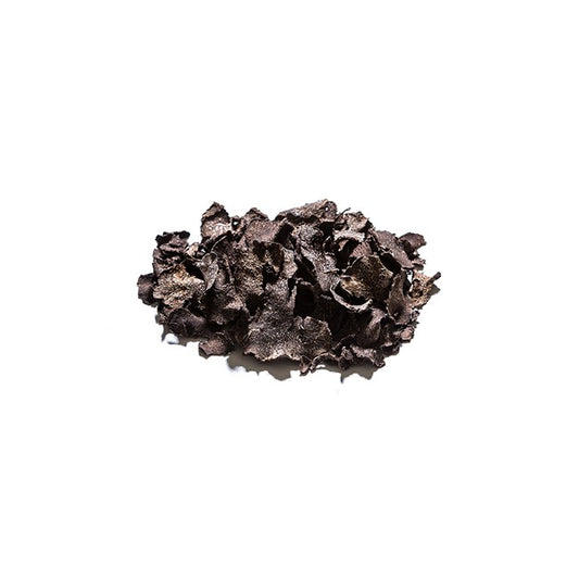 Trufa negra deshidratada